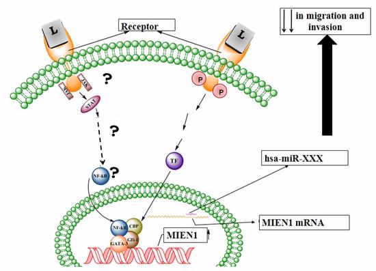 Vishwanatha Lab - smrithi research