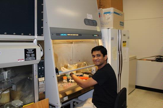 vishwanatha lab img 0696