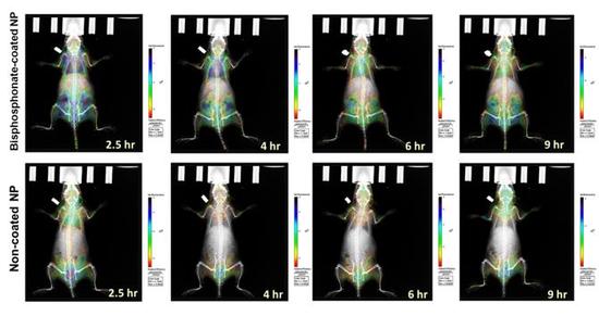 vishwanatha lab san research 2