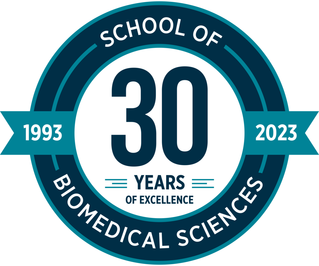 23 080 Sbs 30th Anniversary Icon V5 1