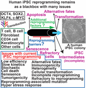 Hu Lab Ipsc Graphic