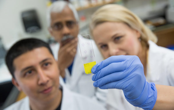 Lewis Marquez 0003 600x380 1