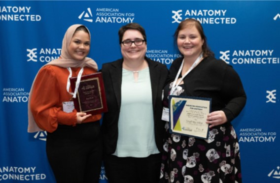 2024 AAA award winners 2024 AAA award winners