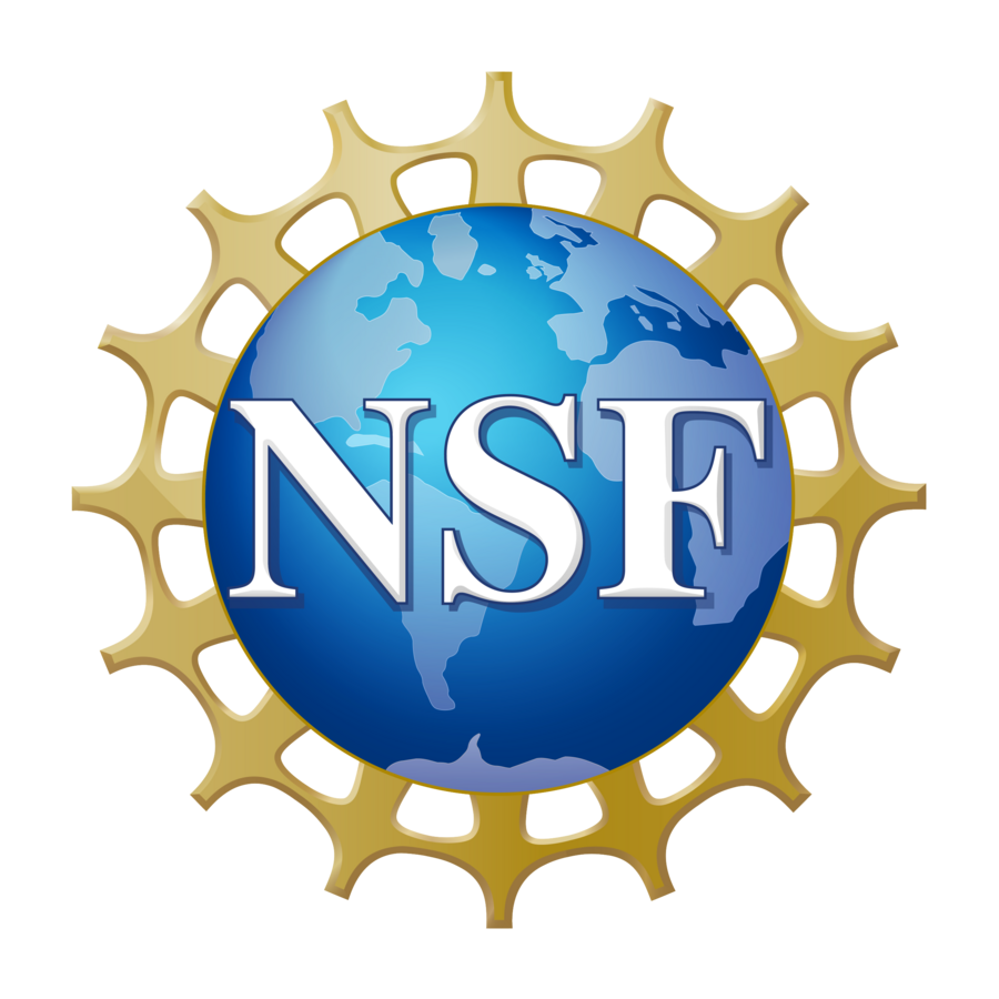 NSF logo square