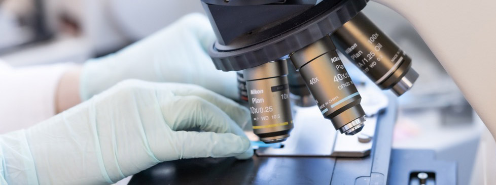 Doctor fixing microsope