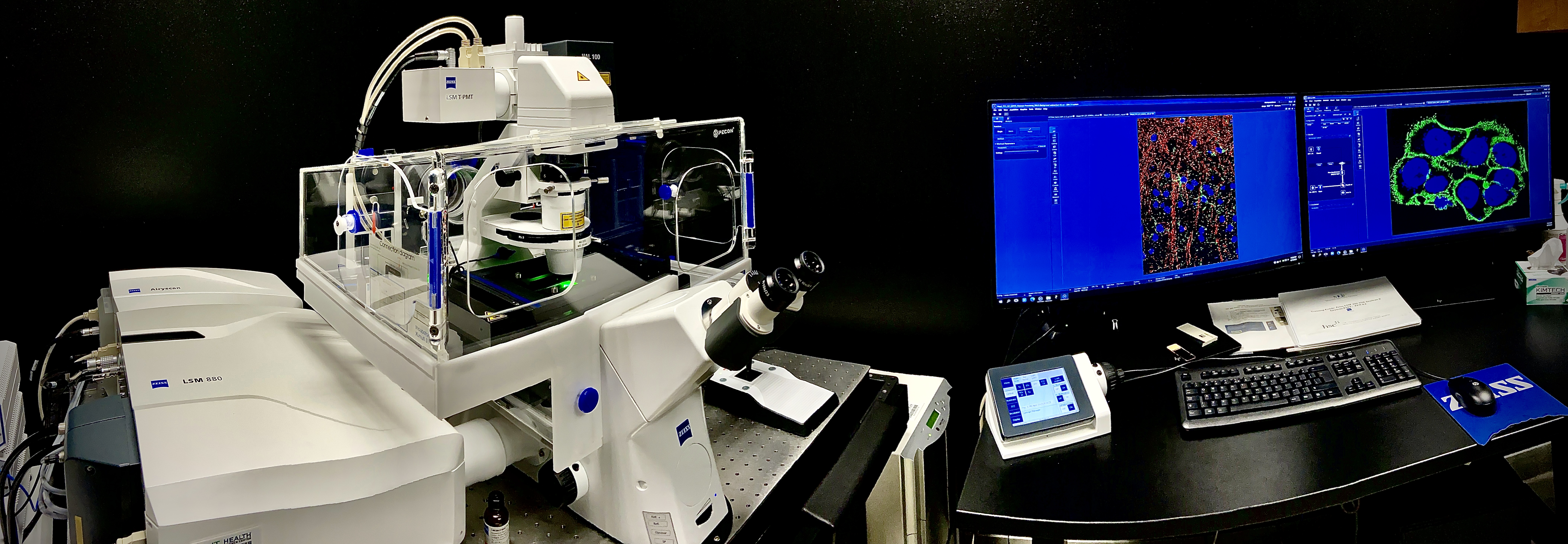 Zeiss LSM 880 Confocal Microscope with Airyscan & Airyscan Fast Zeiss LSM 880 Confocal Microscope with Airyscan & Airyscan Fast