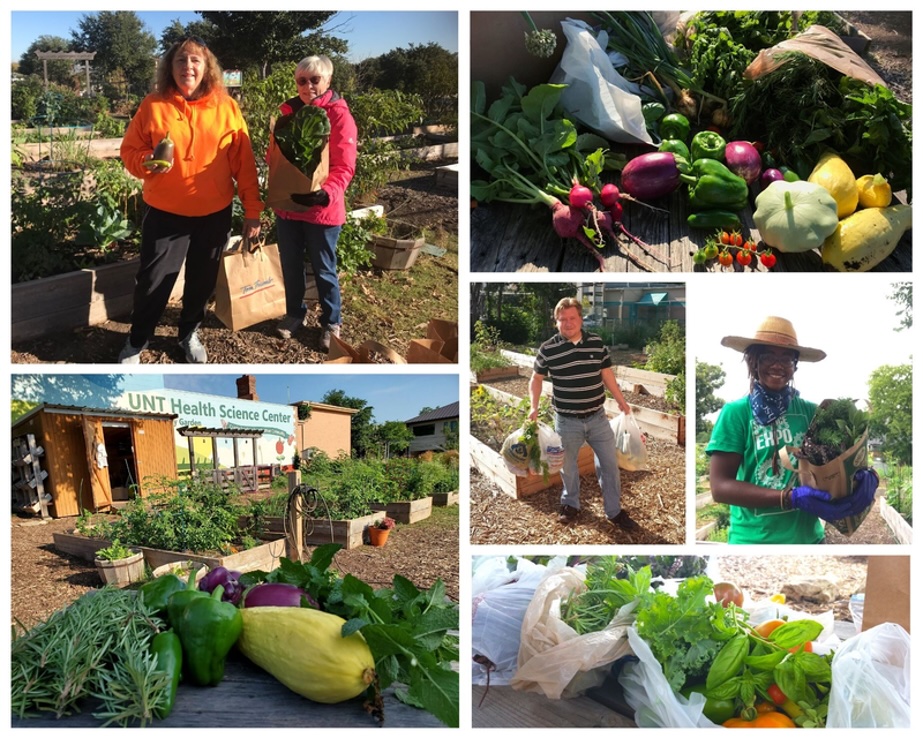 community garden
