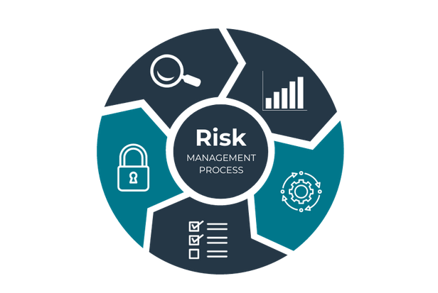 Circular diagram illustrating the Risk Management Process with icons: magnifying glass, bar chart, gear, checklist, and lock, symbolizing analysis and security.