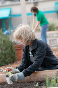 UNT Health COMMUNITY GARDEN