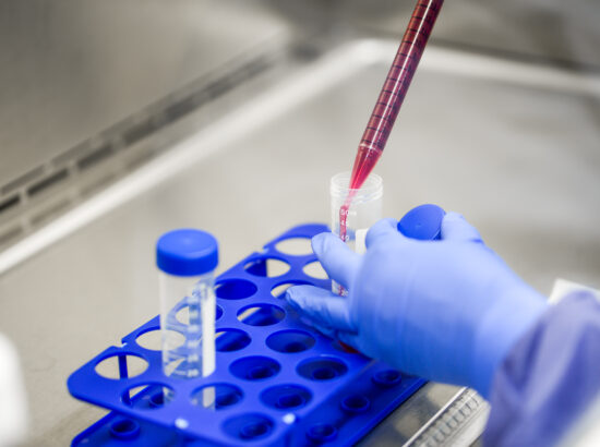 UNT HealthNext Wet Lab Space Digital 13