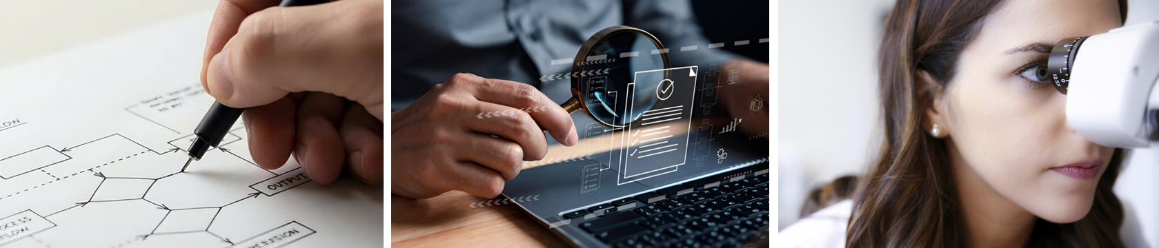 Audits Review and Audits