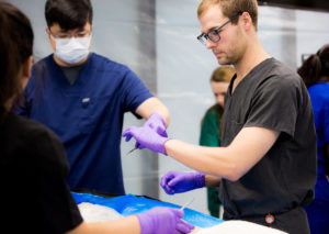 UNT Health Stock 016